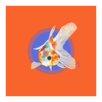 Koi Carp (Print Only)