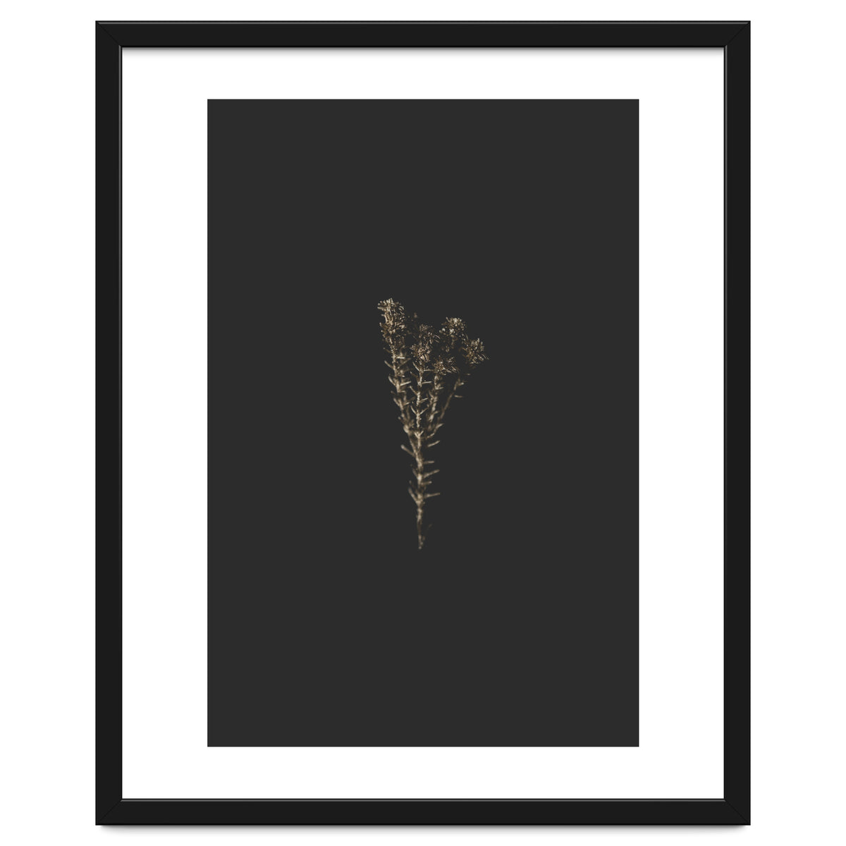 Moody Golden Botanicals