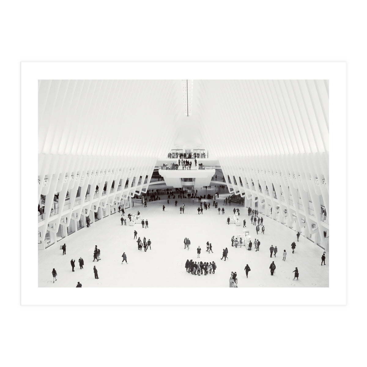 Oculus (Print Only)