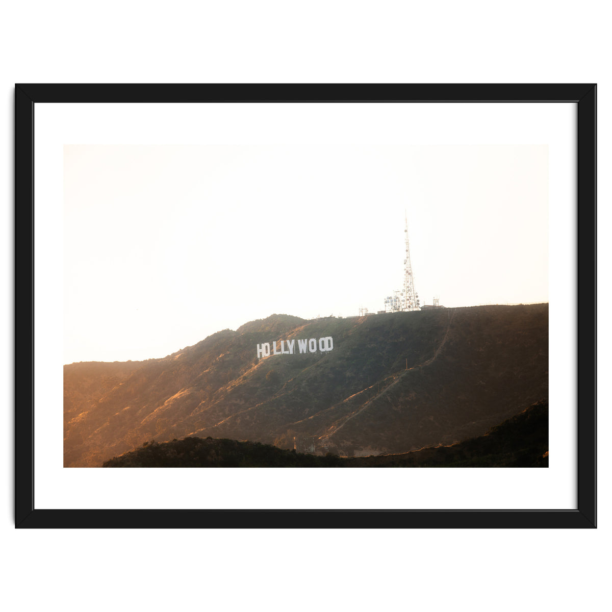 Hollywood Gold x Hollywood Sign California