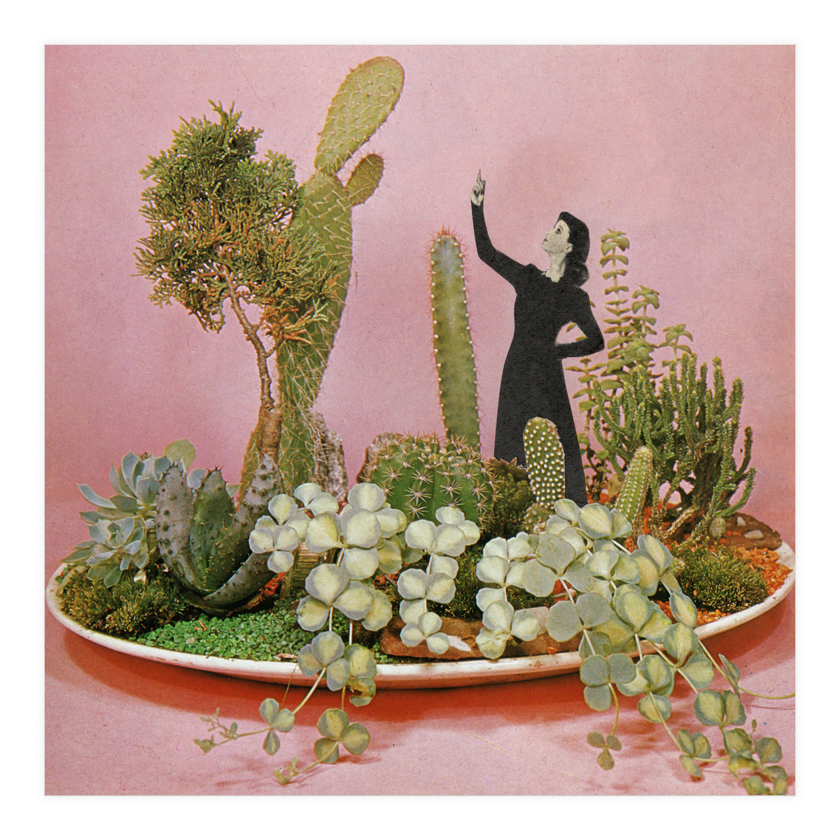 The Wonders Of Cactus Island (Print Only)