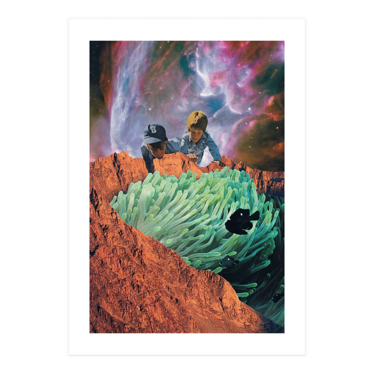 Blackfish (Print Only)