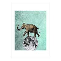 elefante sul modo (Print Only)