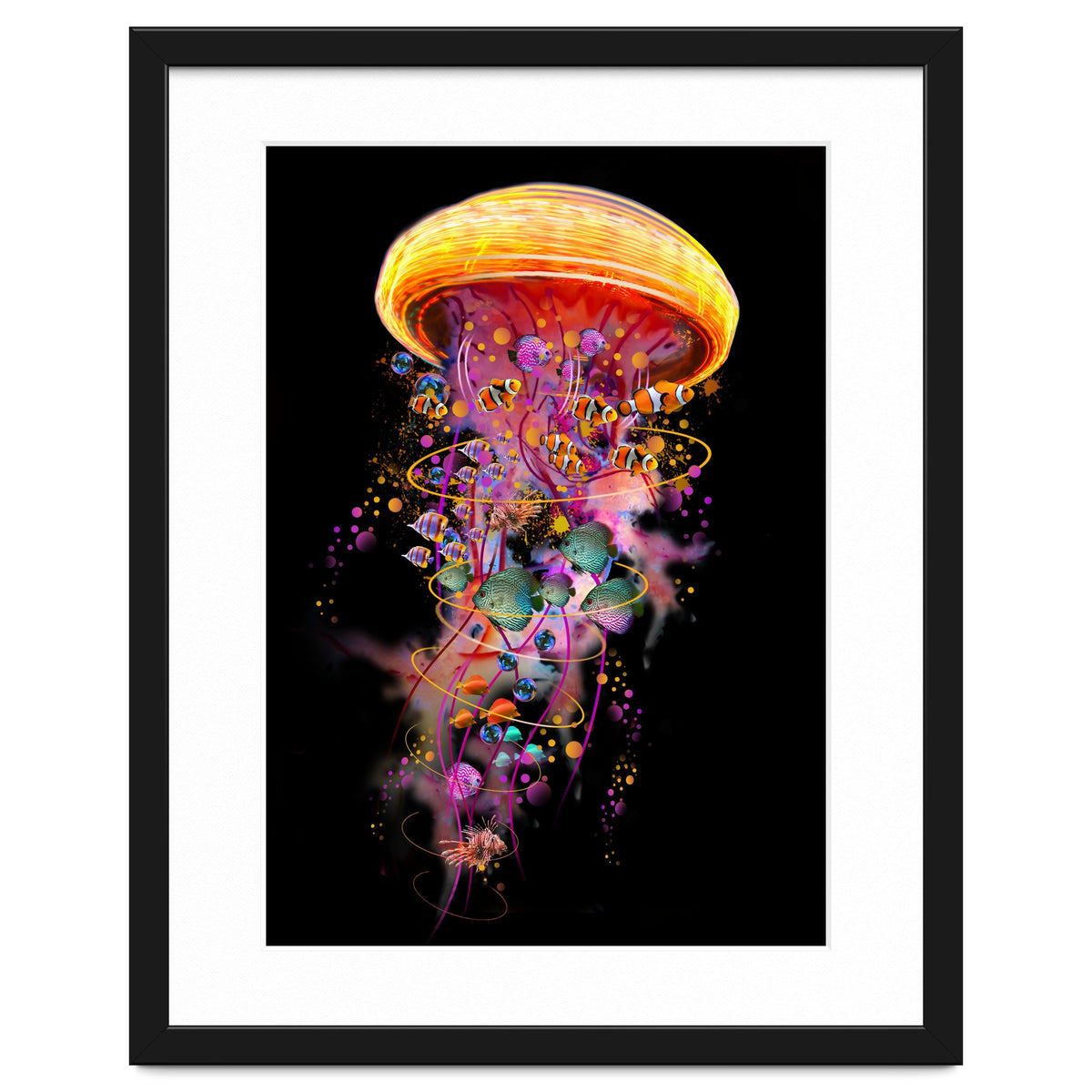 Jelly Fish Ride Summer2018 Dbh