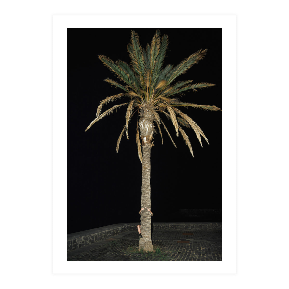 Facepalm (Print Only)