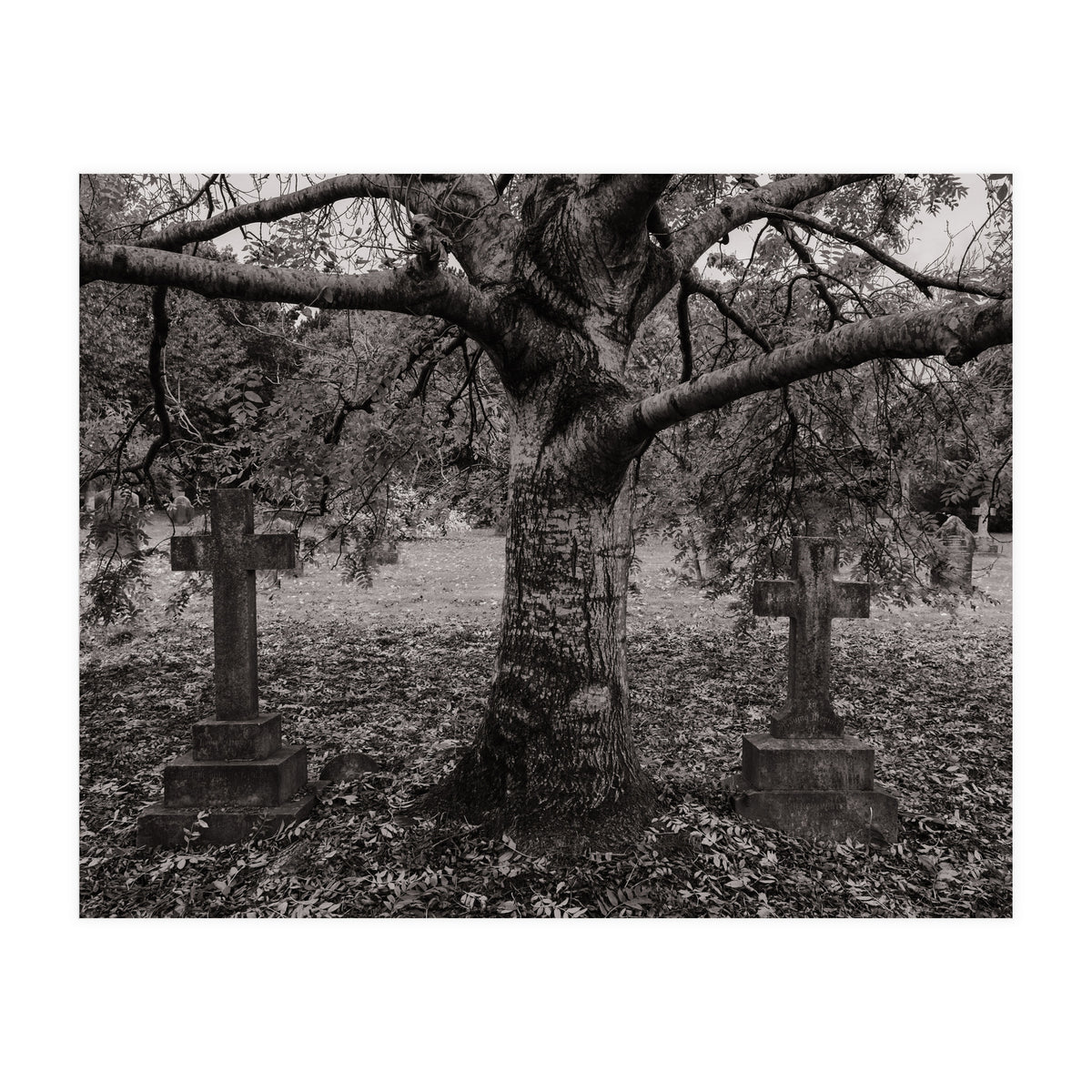 Golgotha (Print Only)