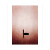 The Swan (Print Only) thumbnail