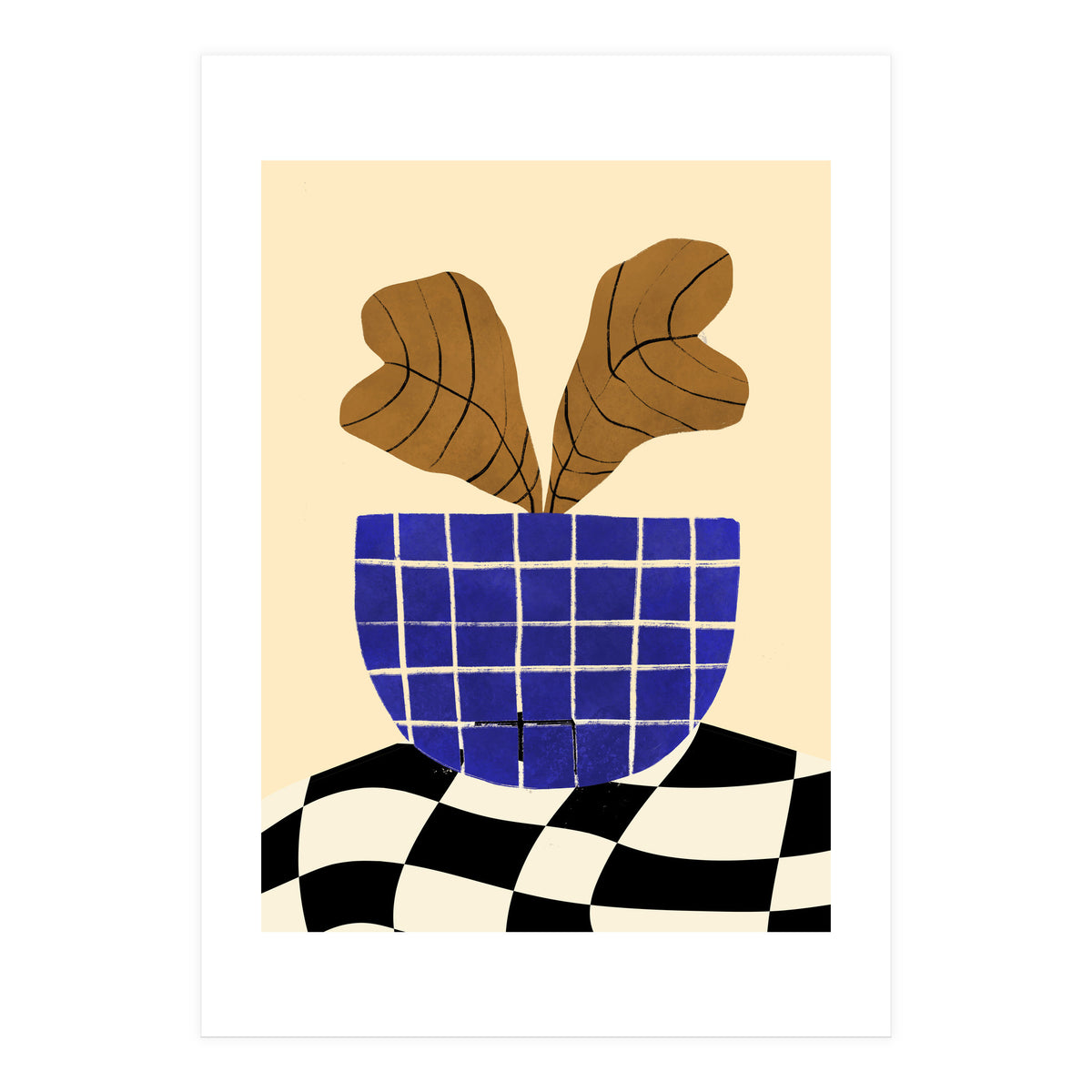 Heuchera (Print Only)