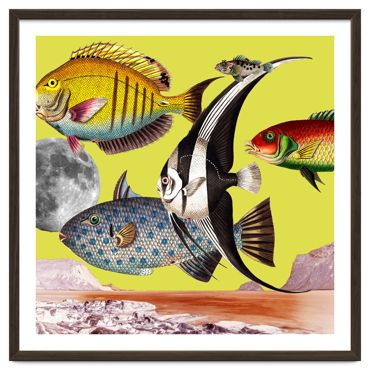 Plenty Of Fish In The Sea Yellow