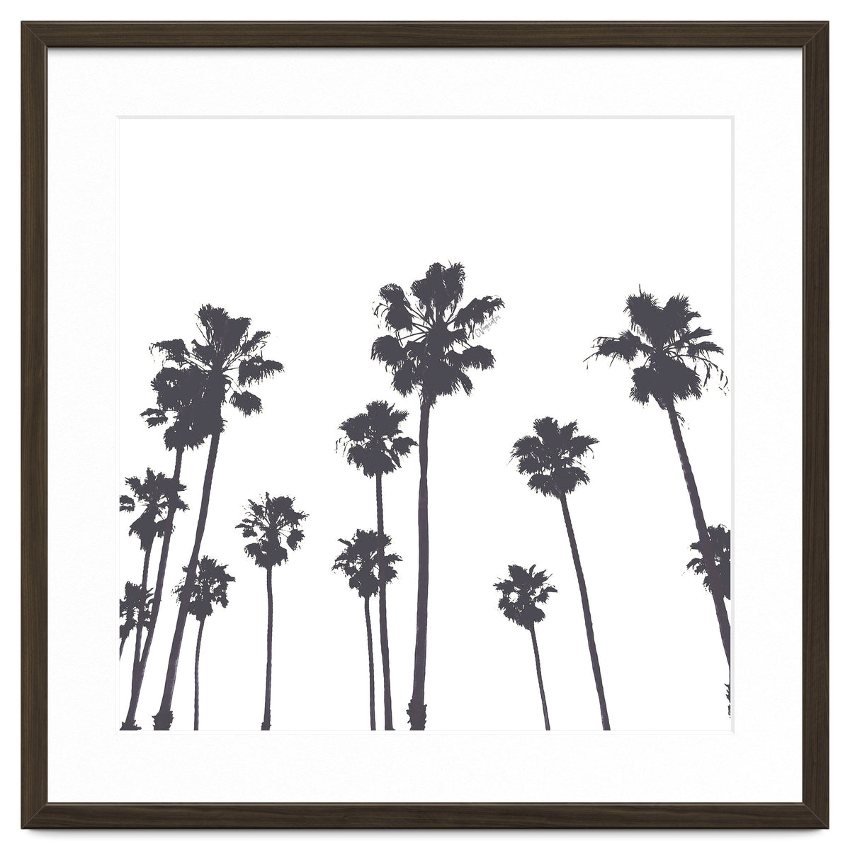 Palms & Sunset-Minimal B&W