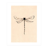 Dragonfly (Print Only) thumbnail