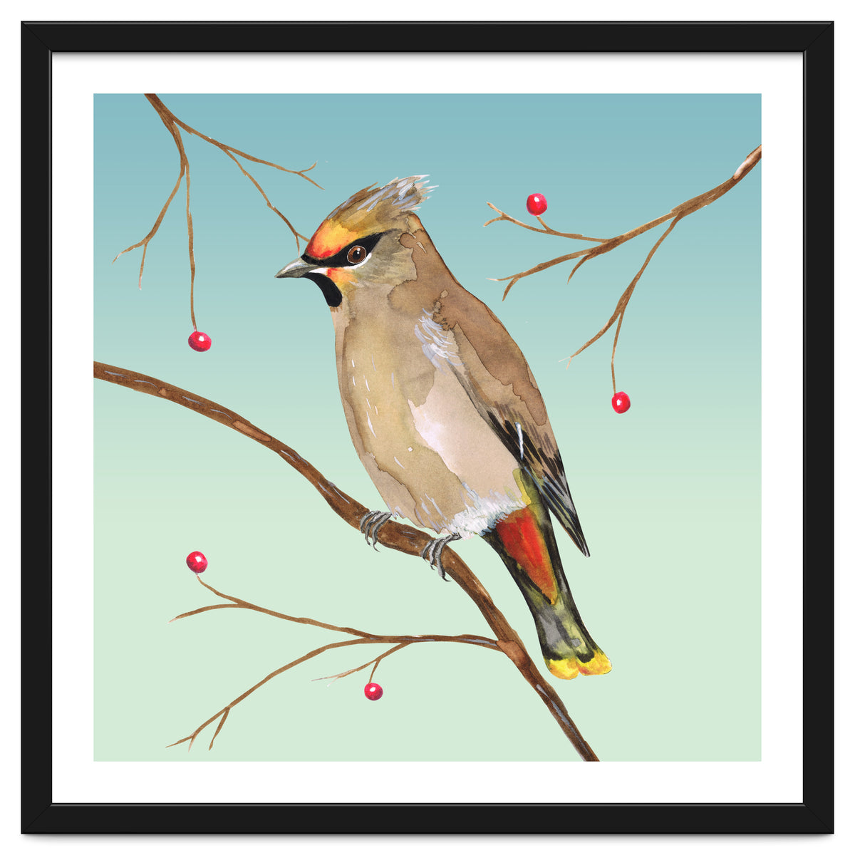 Bohemian waxwing