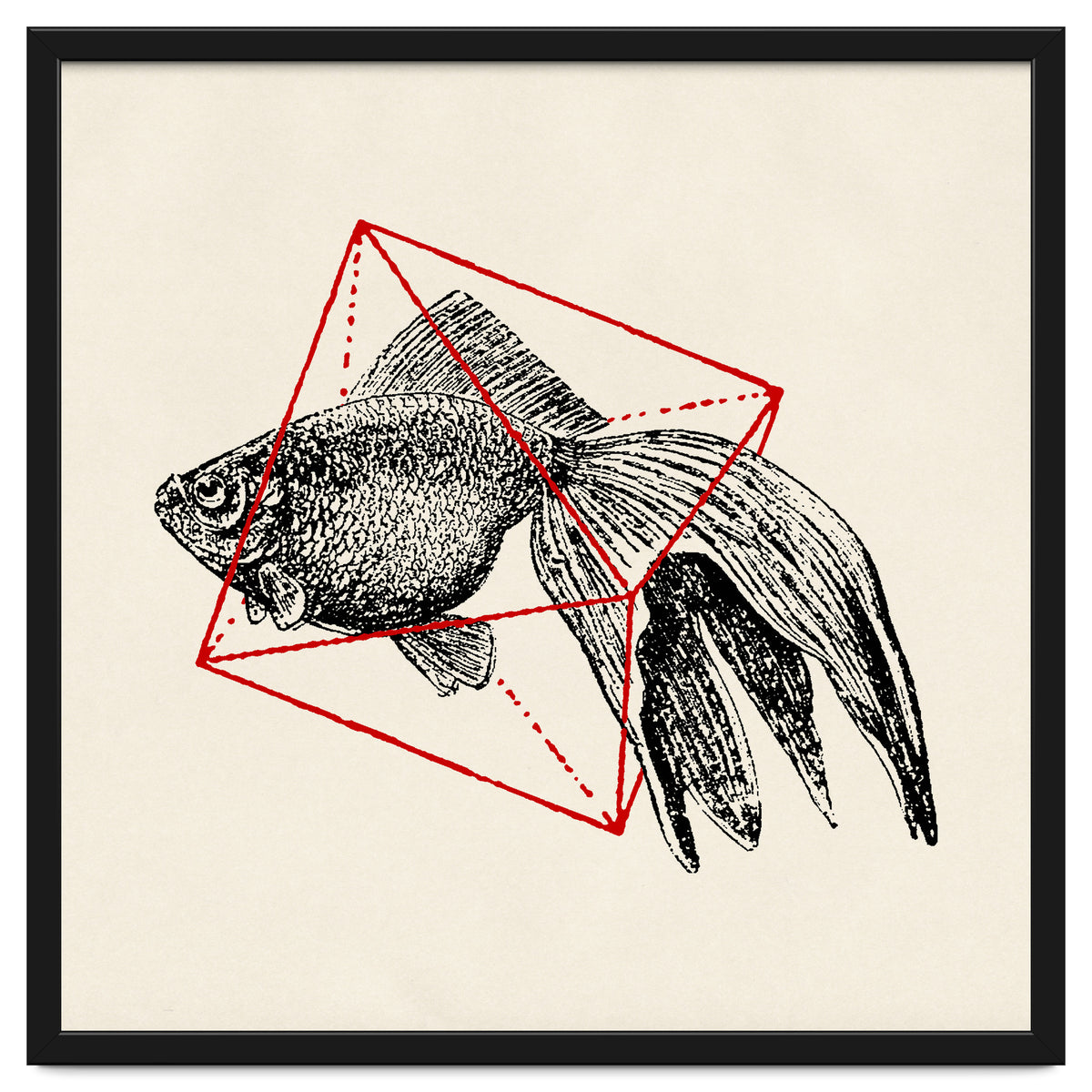 Fish In Geometrics III (Square)