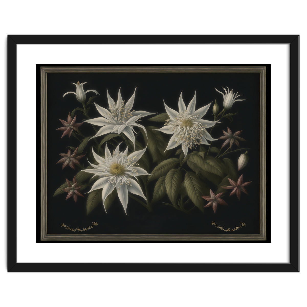 Edelweiss Vintage Illustration