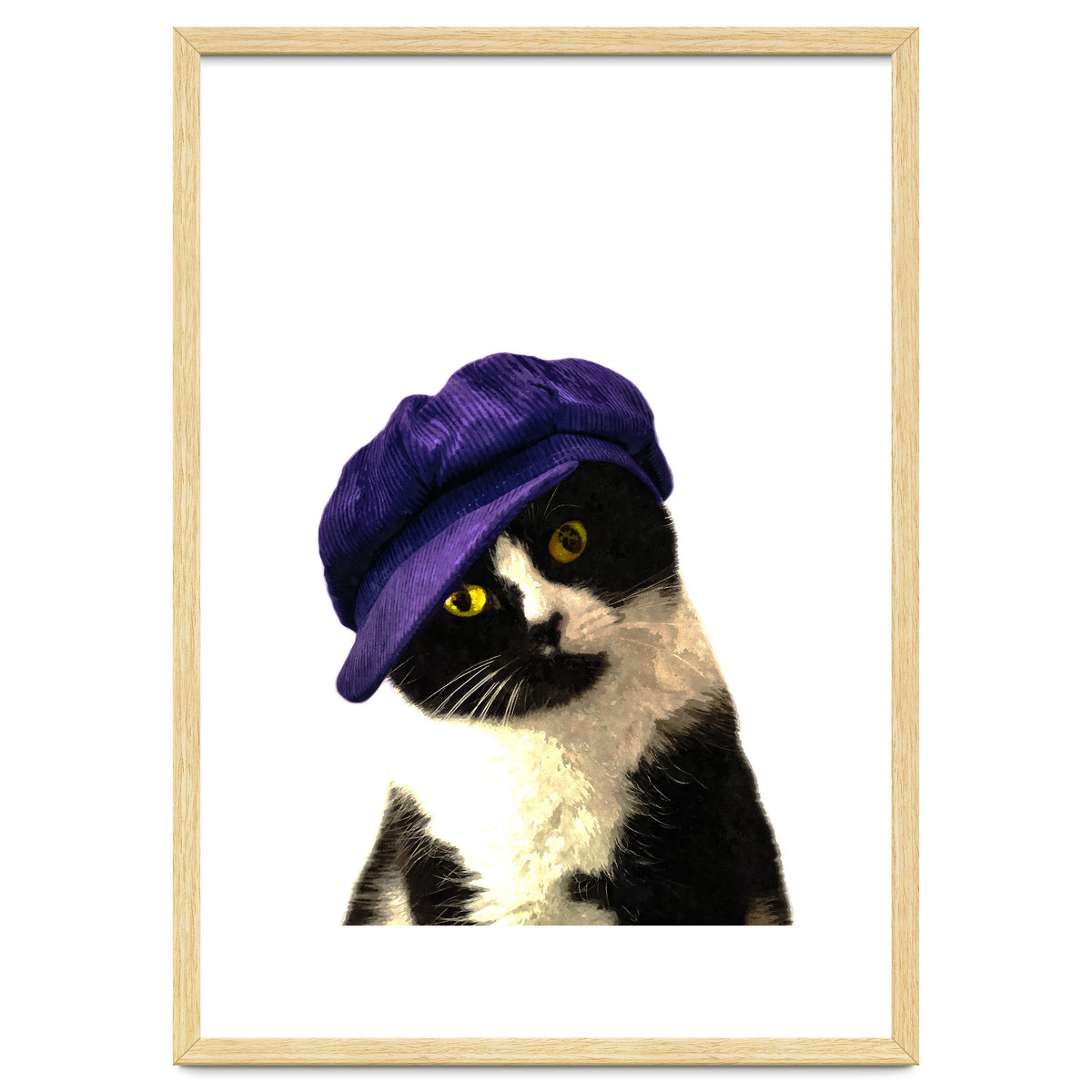 Cat Blue Hat