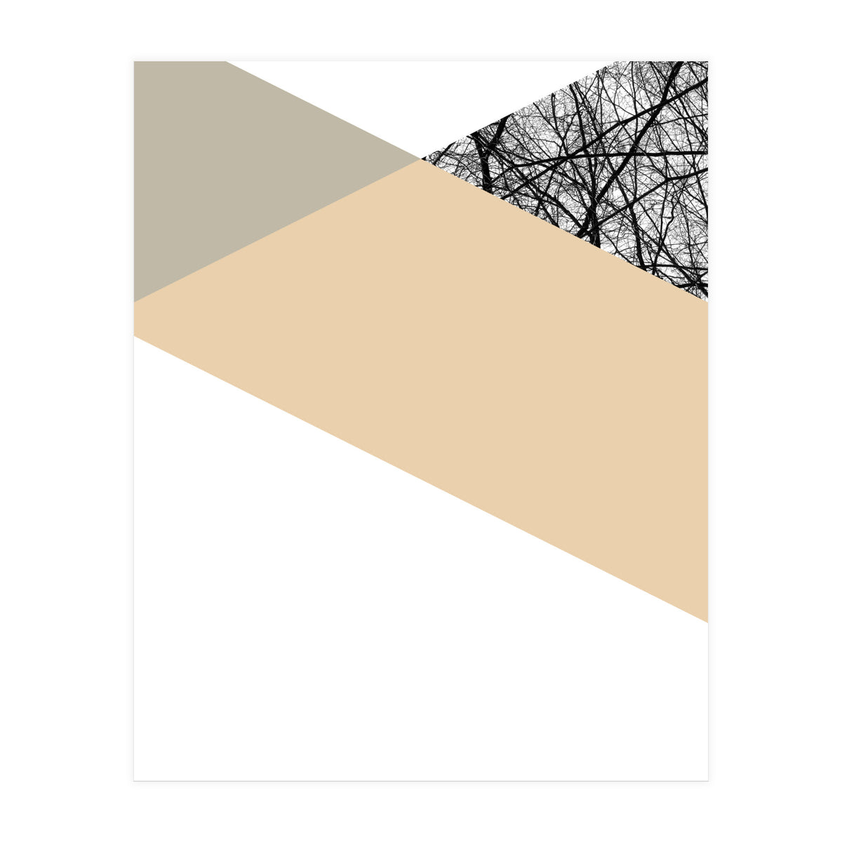 TRIWOOD IV (Print Only)