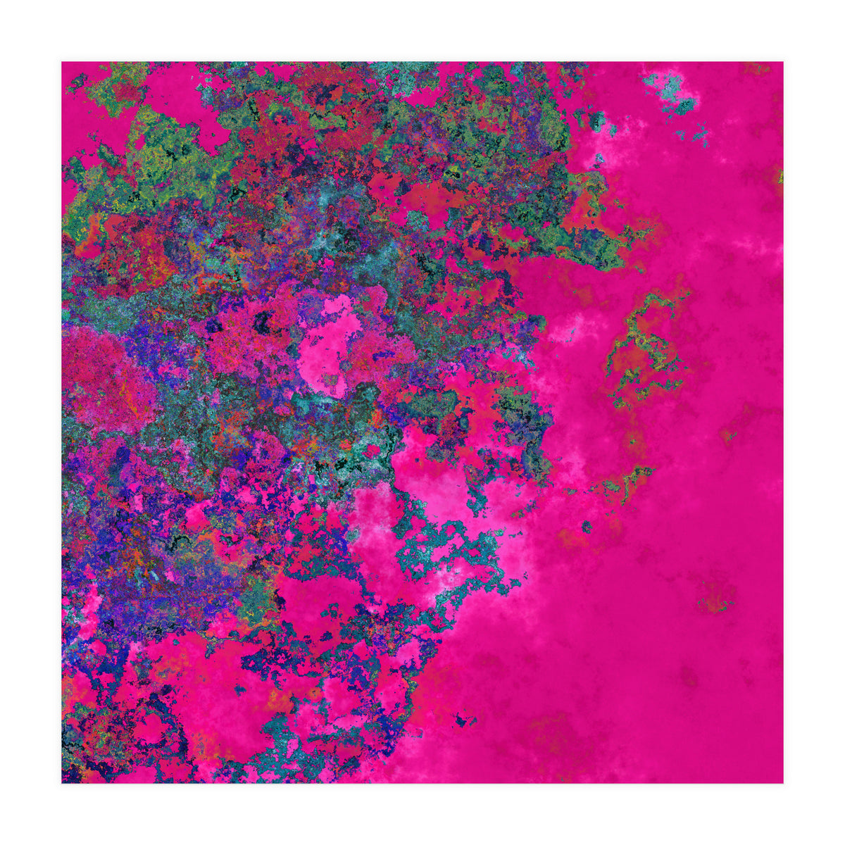 Fuchsia Dream (Print Only)