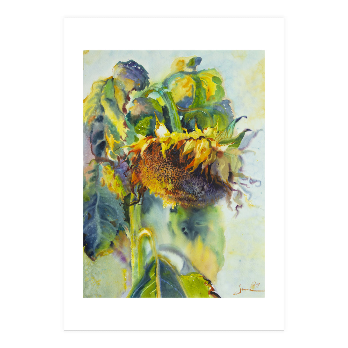 Sunflower Art. Sunny day sunflowers Art (Print Only)