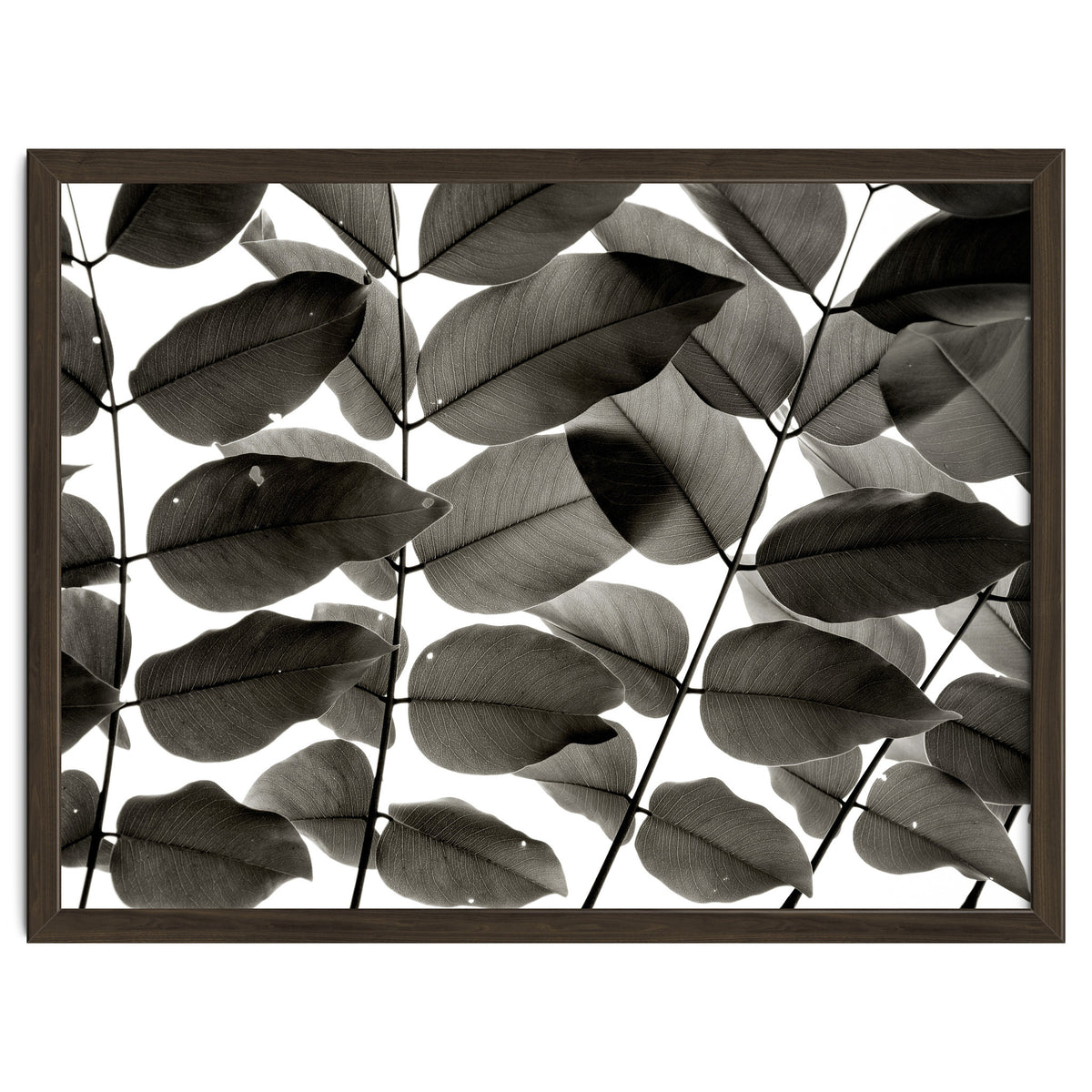 Branches and Leaves I