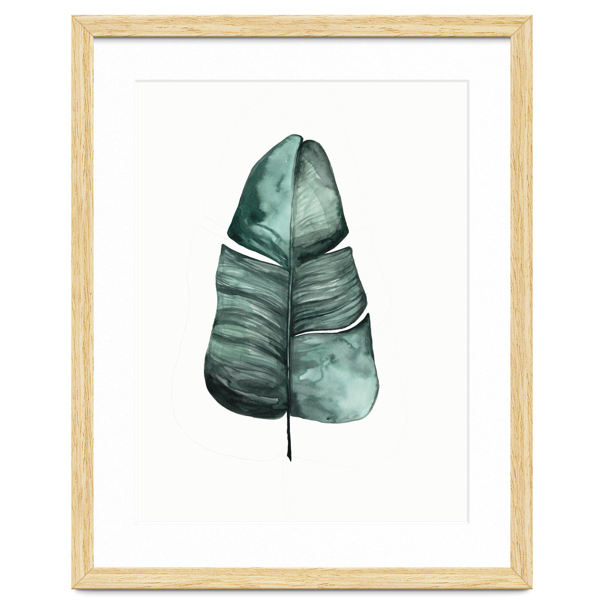 Botanical Illustration Banana Leaf