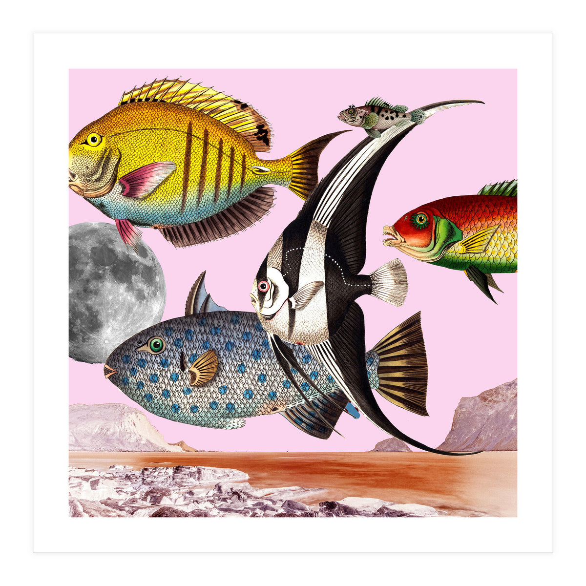 Fish World Pink (Print Only)
