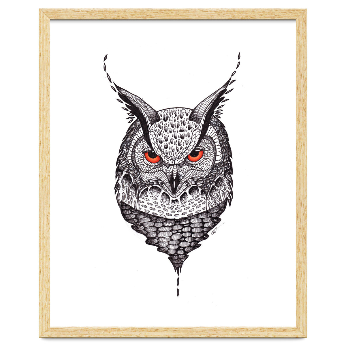 Owl