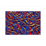 Aluminium Foil (Print Only) thumbnail