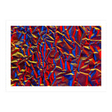 Aluminium Foil (Print Only) thumbnail