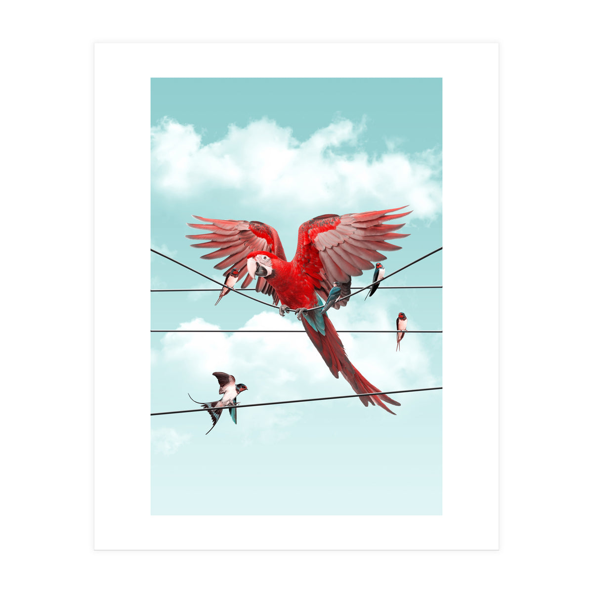 Colorful Stranger (Print Only)