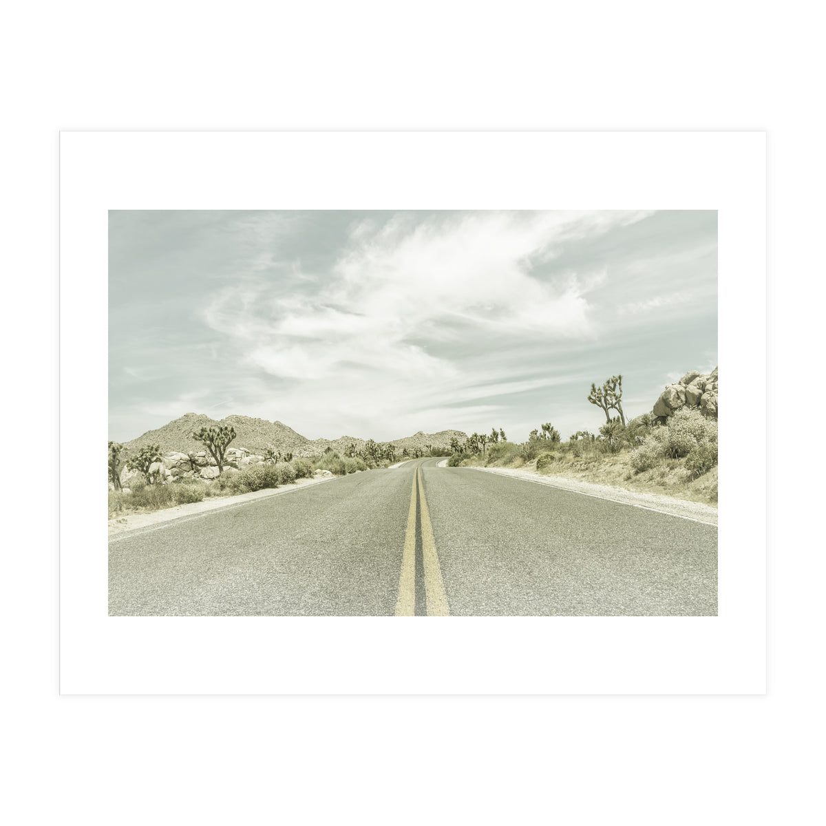 Joshua Trees, Park Boulevard | Vintage (Print Only)