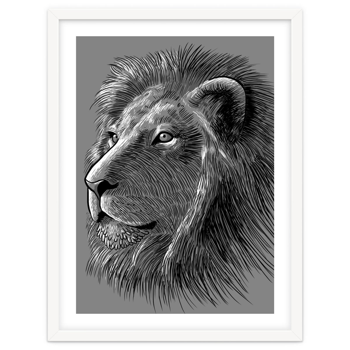 Sketch Lion