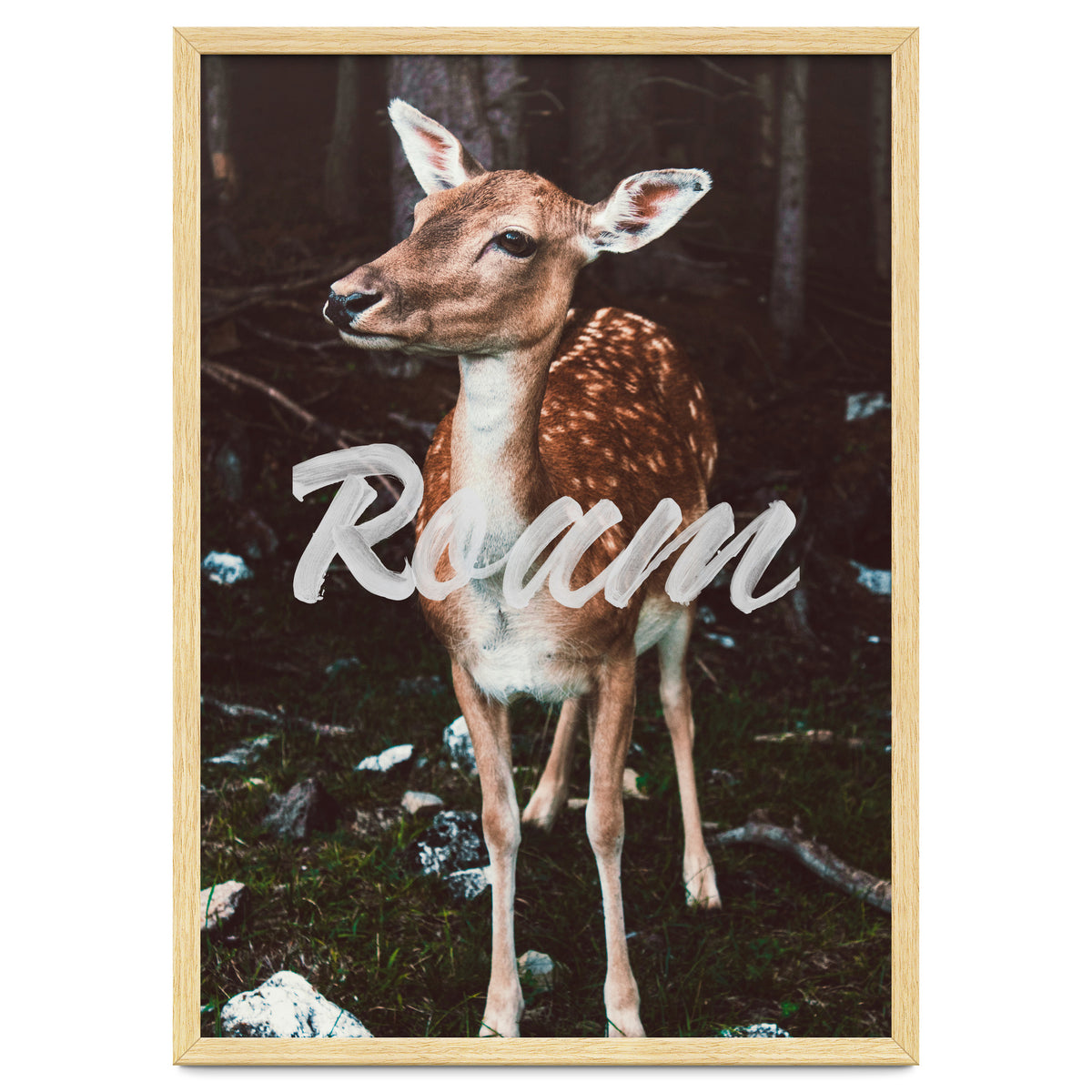 Roam
