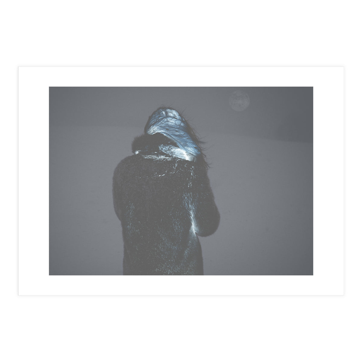 Metamorphosis (Print Only)