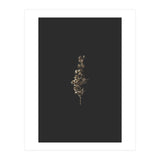 Gold Rush Botanicals (Print Only) thumbnail