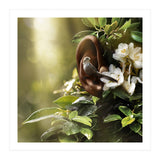 Sound Of Nature (Print Only) thumbnail