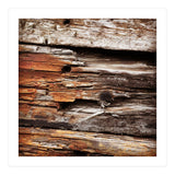 weather worn wood (Print Only) thumbnail