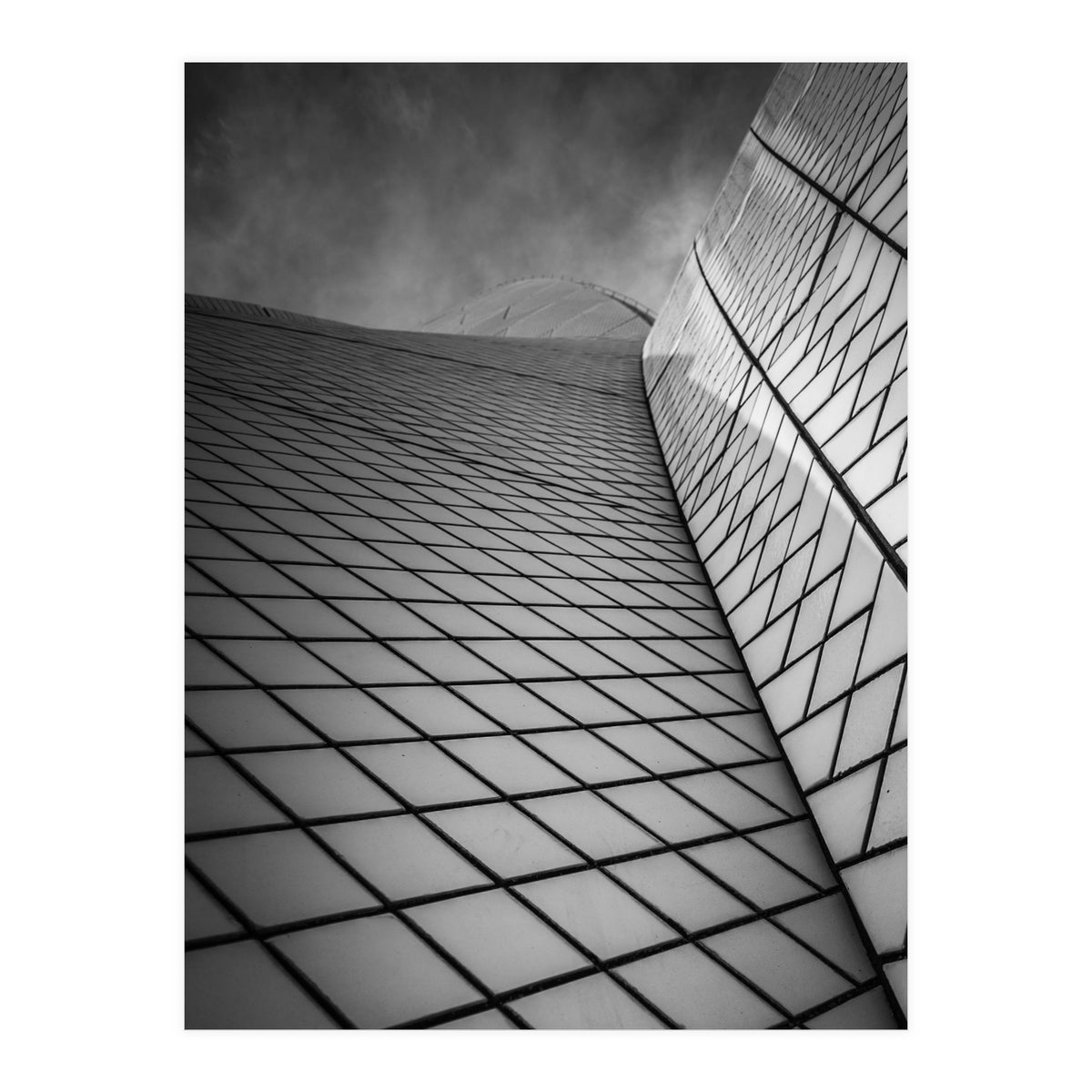 The Sails (Print Only)