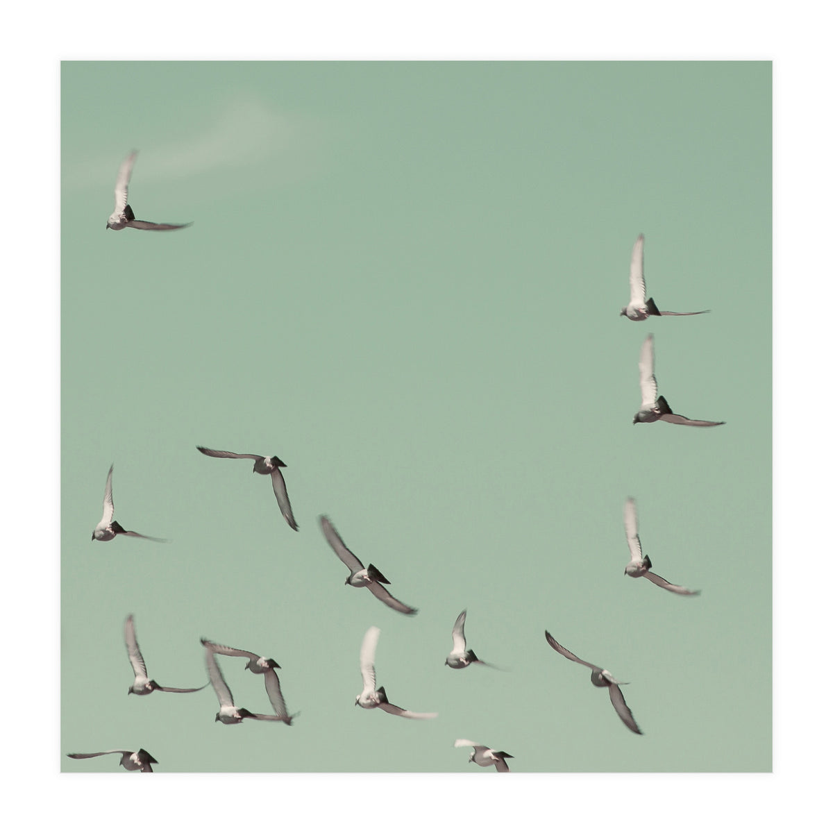 Mint Skies (Print Only)