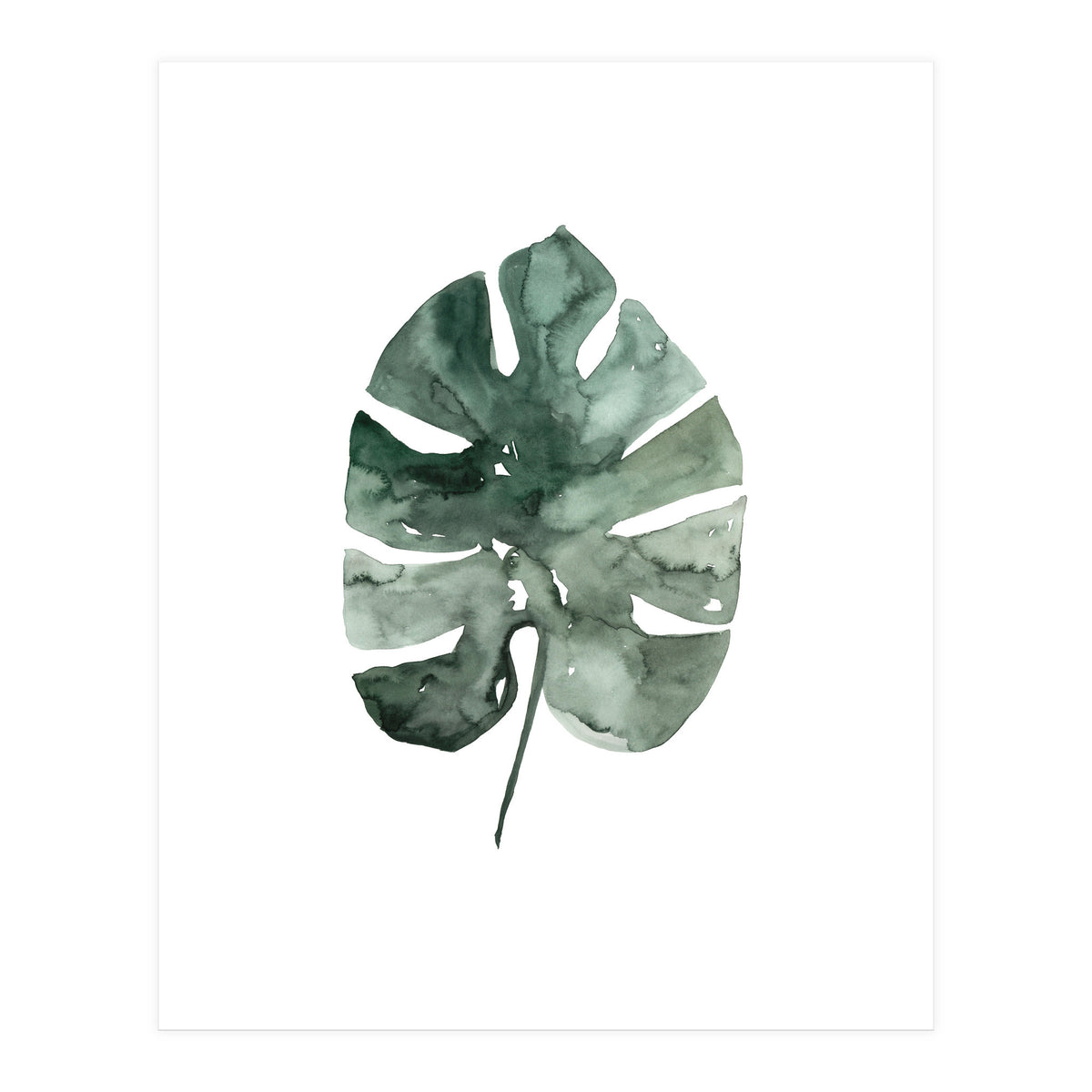 Botanical Illustration Monstera Leaf (Print Only)