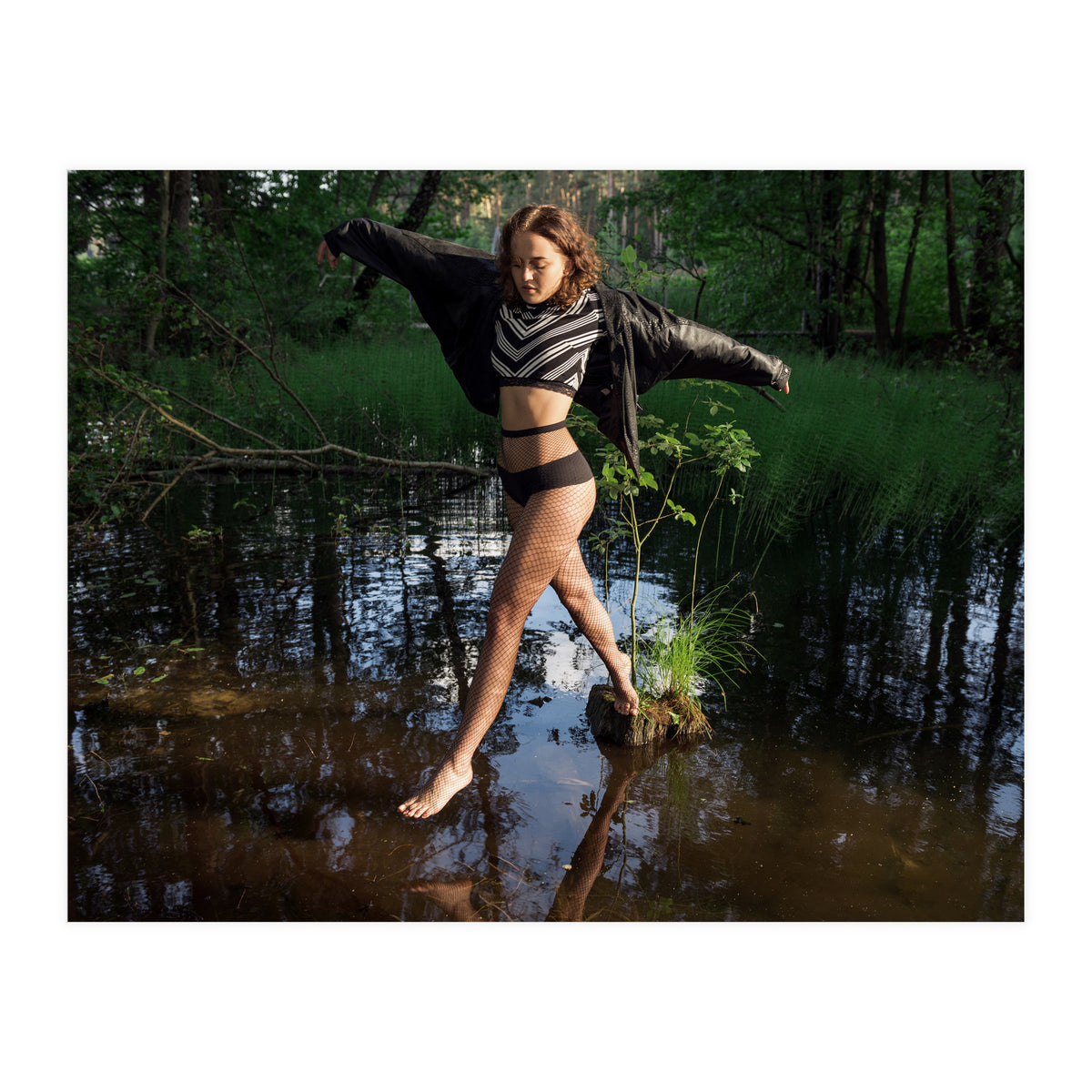 Swamp Swan (Print Only)