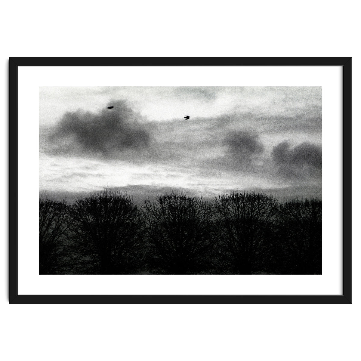 Winter mornig in Paris