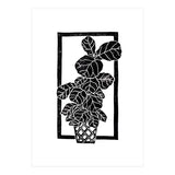 Fiddle Leaf Fig (Print Only) thumbnail