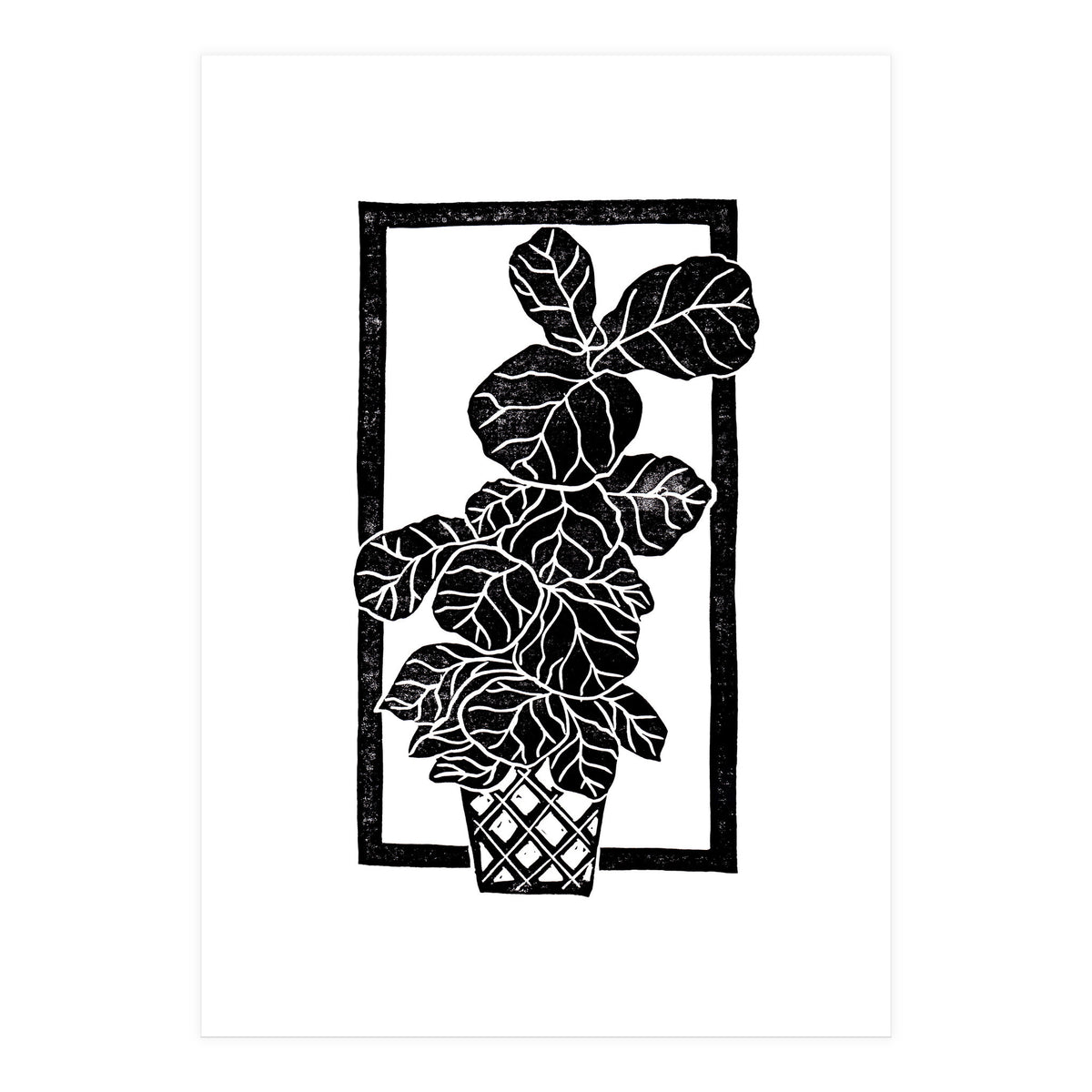 Fiddle Leaf Fig (Print Only)
