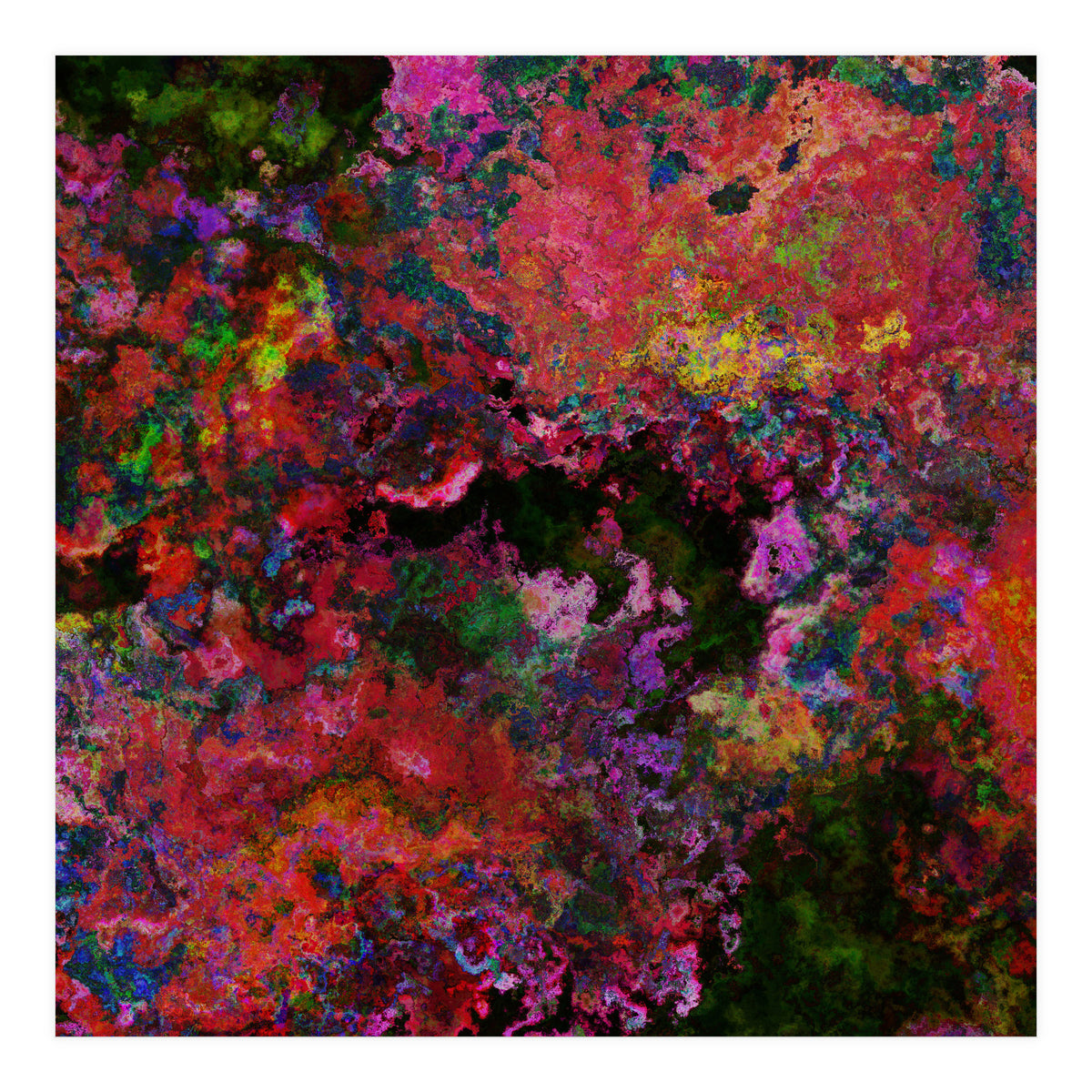 Blooms  (Print Only)