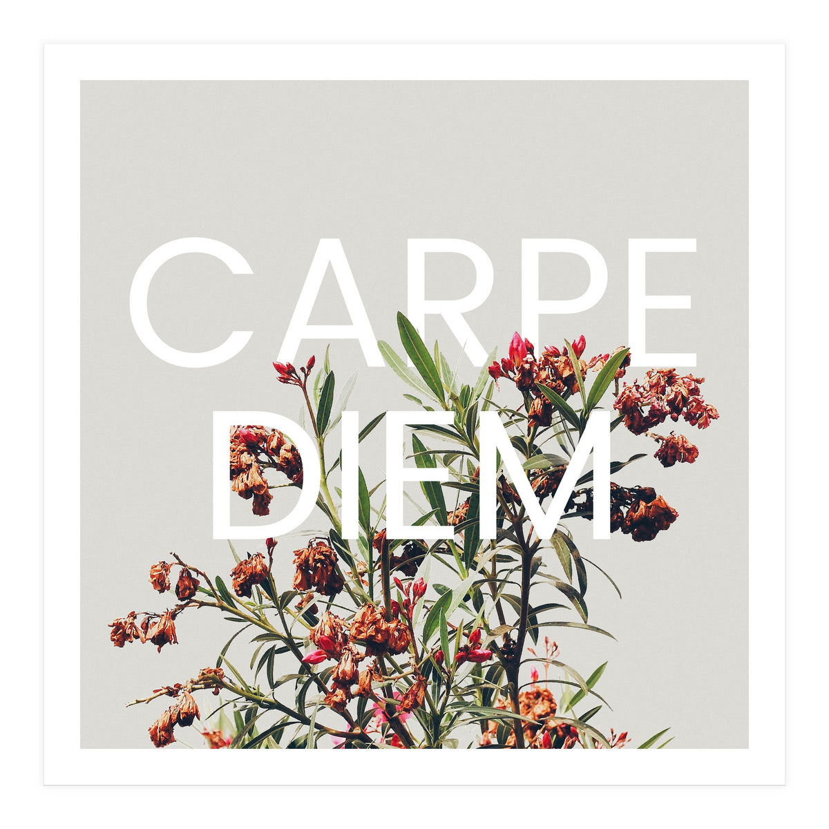 Carpe Diem (Print Only)