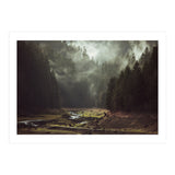 Foggy Forest Creek (Print Only) thumbnail