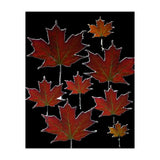 Red Autumn Leaves on Black Ground. (Print Only) thumbnail