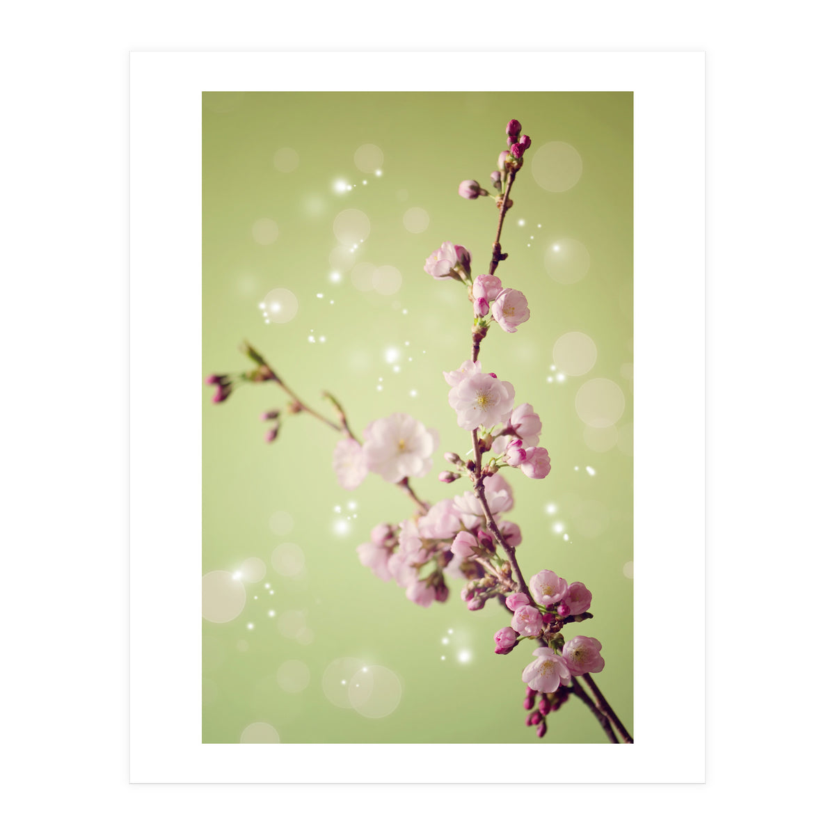 Springtime  (Print Only)