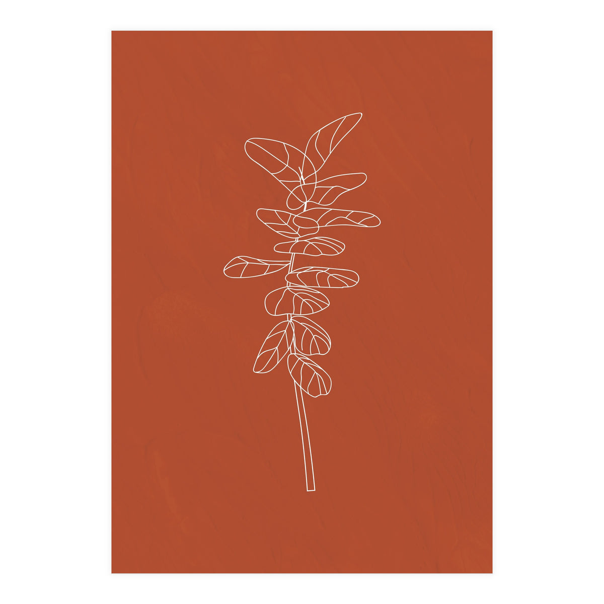 Line Art Botanical Terracotta (Print Only)