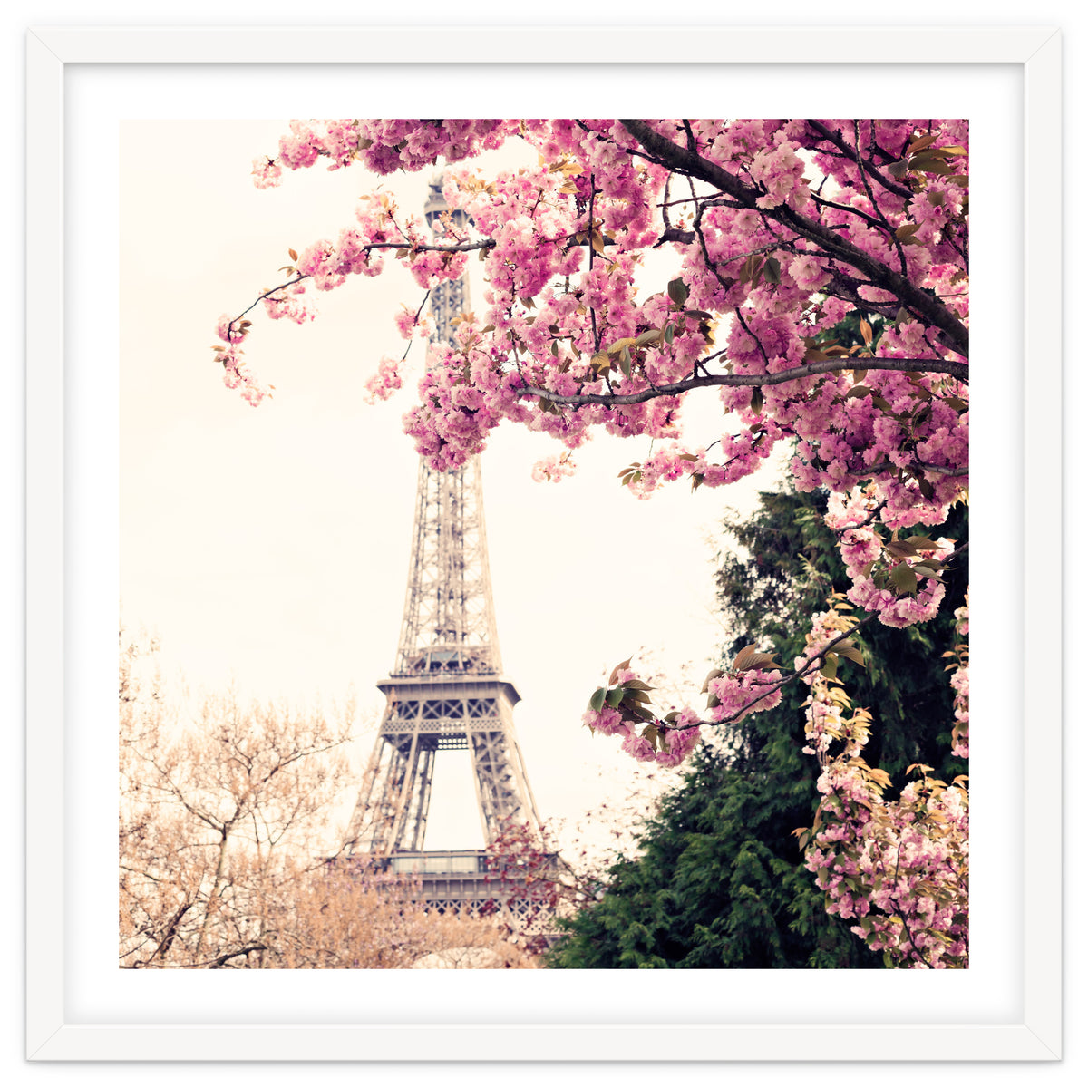 Paris in the Spring